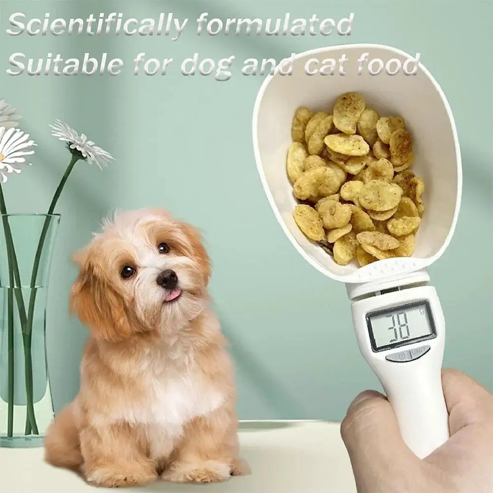 Thumbnail 4 - #64 Popular Measuring Scales Choices