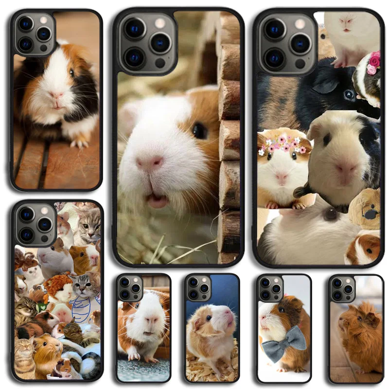 Hamster Guinea Pig Phone Case Cover For iPhone 15 16 14 Plus 11 12 mini 13 Pro Max Apple X XR XS max