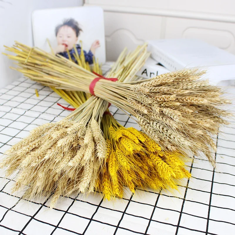 Natural Dried Wheat Ear Flower Arrangement, Real Wheat Stalks,Grain Bouquets,DIY Craft for Office,Home Festiv Decoration,40-50cm