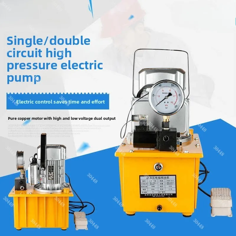 Ultra-High Pressure Hydraulic Pump 220V Voltage Small Dual Circuit Solenoid Valve Foot Pump Hydraulic Press Electric Oil Pump