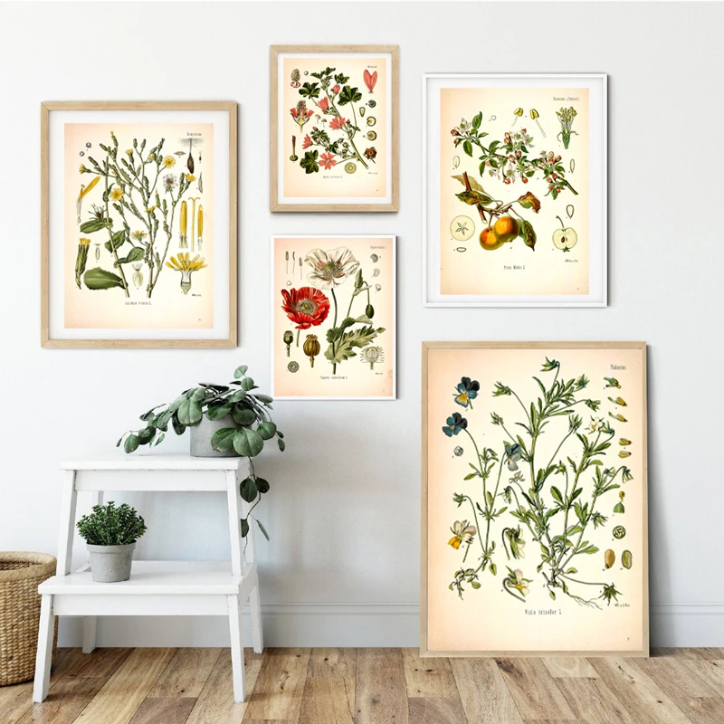 2026Koehler Medicinal Plants Canvas Painting, Vintage Botanical Posters and Prints Kitchen Wall Pictures, Living Room Home Decor