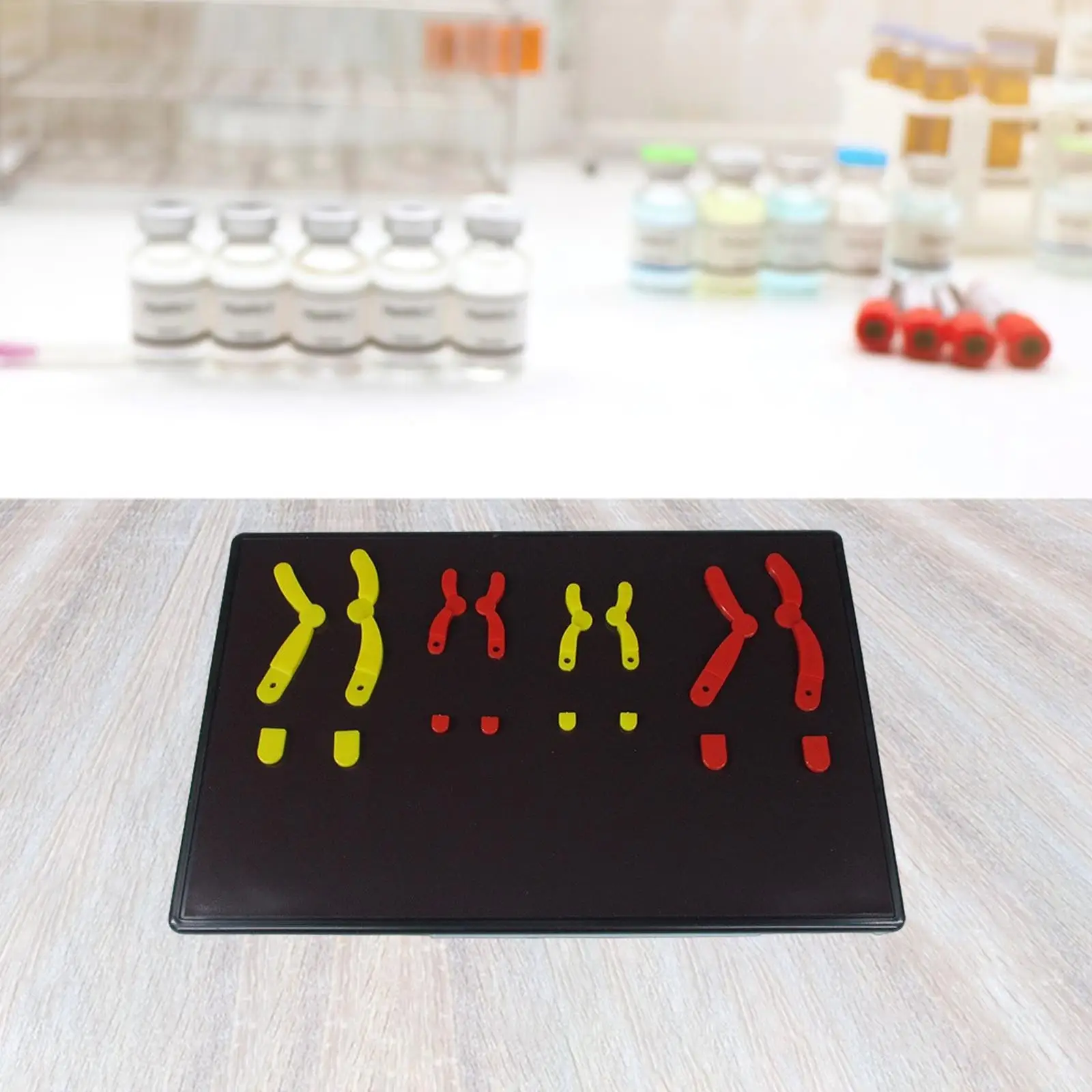 

Учебный инструмент по биологии, модель изменения хромосама для студента