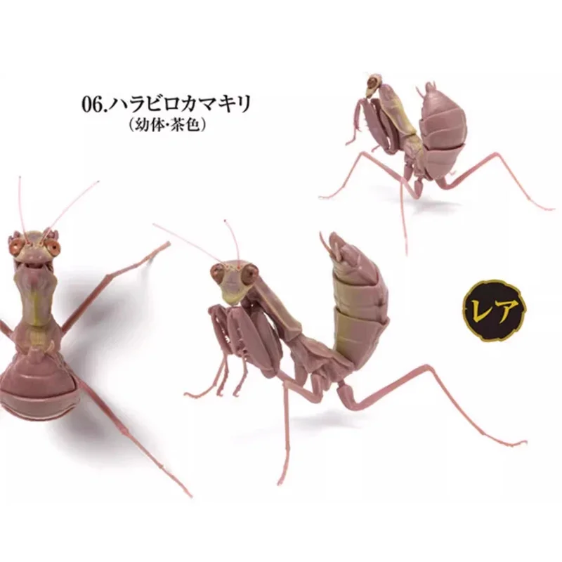 BANDAI Anime Biological Encyclopedia Mantis Grasshopper Gashapon Christmas Gifts or Collection Genuine Action Figure Model Toys