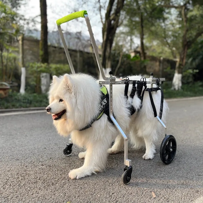 

Инвалидная коляска для собак: регулируемая 4-колесная тележка-поддержка для парализованных и пожилых собак, полное средство поддержки при слабости конечностей