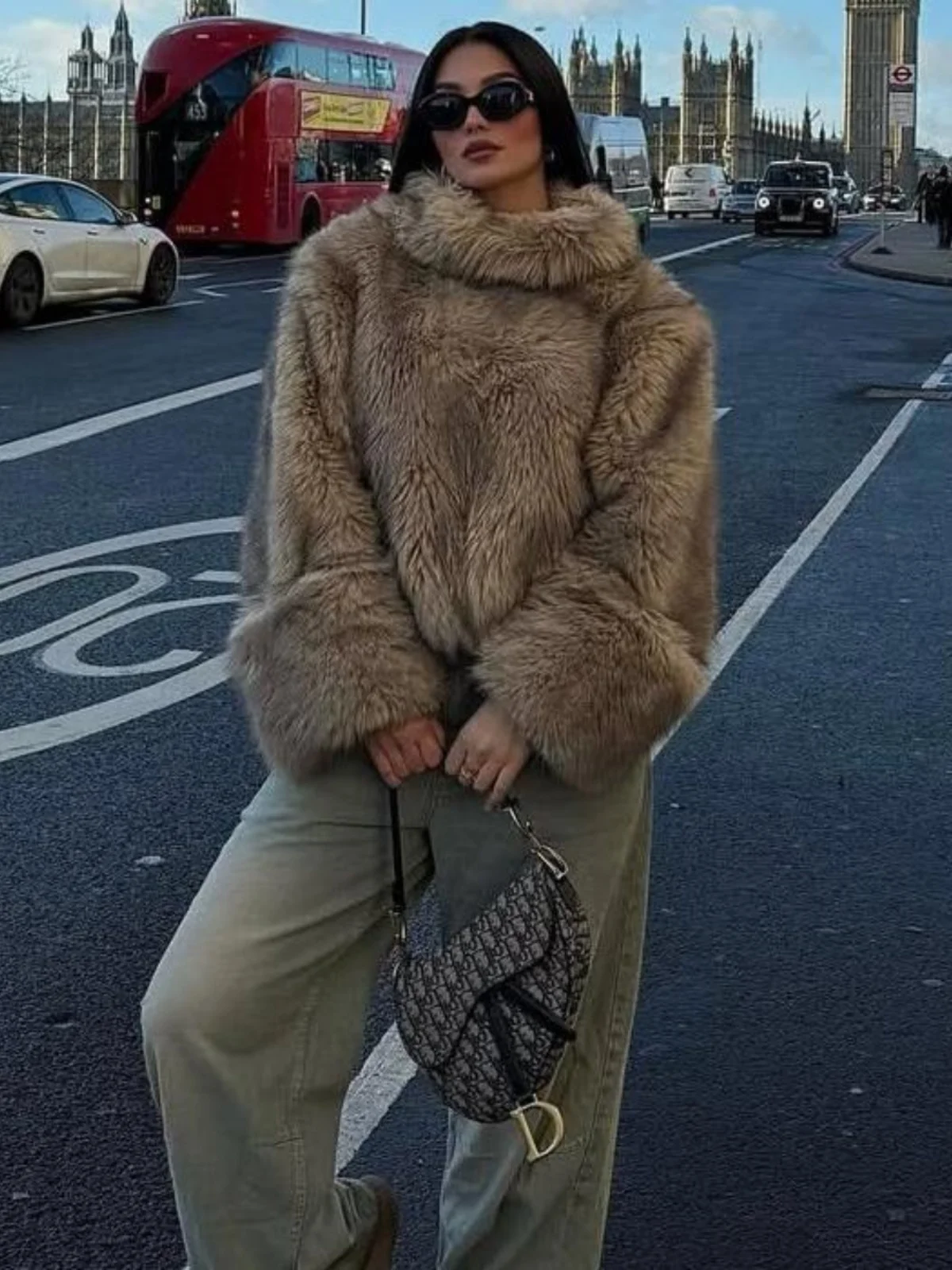 Thickened Long Sleeve Hoodie Jacket Women's New Style Autumn Winter Warmth Outerwear Faux Fur Loose Fit High Collar Street Style