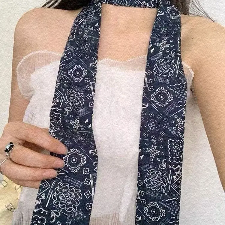 Scarf Paisley Long Narrow Chiffon Lightweight Multicolor Versatile Women Hair Bag Waist Neck Decoration New Fashion Gift Box
