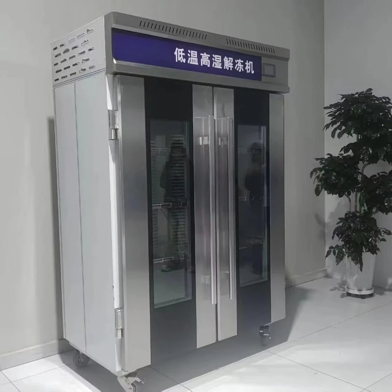 Wholesale Grade Automatic Low Temperature High Humidity Thawing Cabinet Machine with Digital Control Plant Customized 2026 New