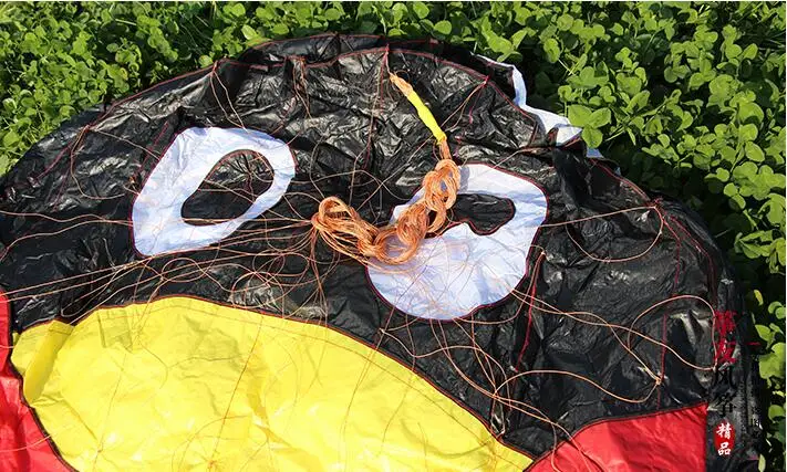 البطريق طائرة ورقية تحلق لينة طائرة ورقية سلسلة المشي في السماء الرياح جورب المظلة طائرة ورقية سيرف فولانت بروفيشنال الكبار خط مزدوج طائرة ورقية بيبا #6