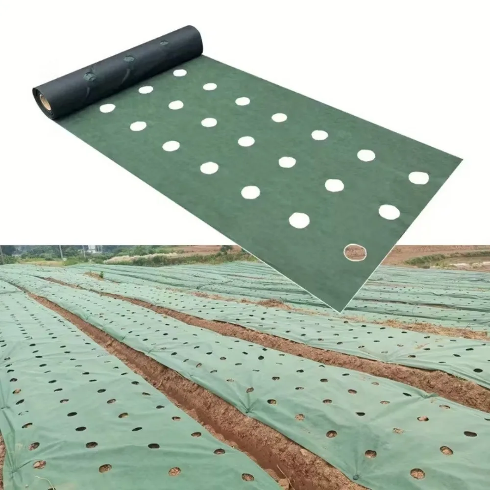 Pre-punched Holes Perforated Grass Proof Cloth Double Layer Biodegradable Weed Proof Cloth Non-woven with Ground Nails