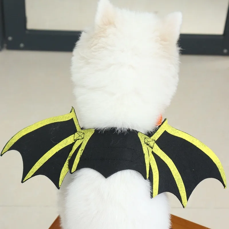 Roupas para animais de estimação, roupas engraçadas e criativas com asas de morcego, roupas para cães e gatos, roupas para cães pequenos