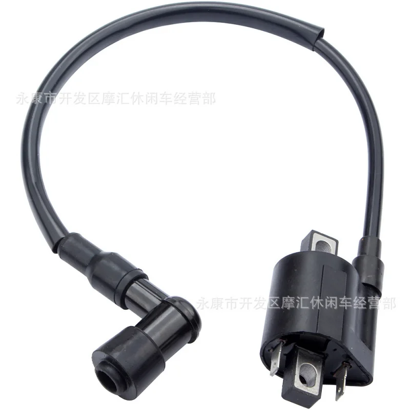 2Needle SuitableHONDA CBF/CBR/CR250 CRF450 CR500 TRX650Ignition Coil of High Voltage Pack