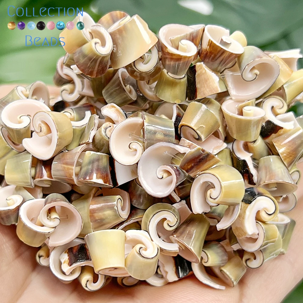 10mm Natürliche Grüne Rotmäulchige Schnecke ‌ Lose Muschelperlen für die Schmuckherstellung, DIY-Armbänder, Halskettenzubehör, 13 Zoll