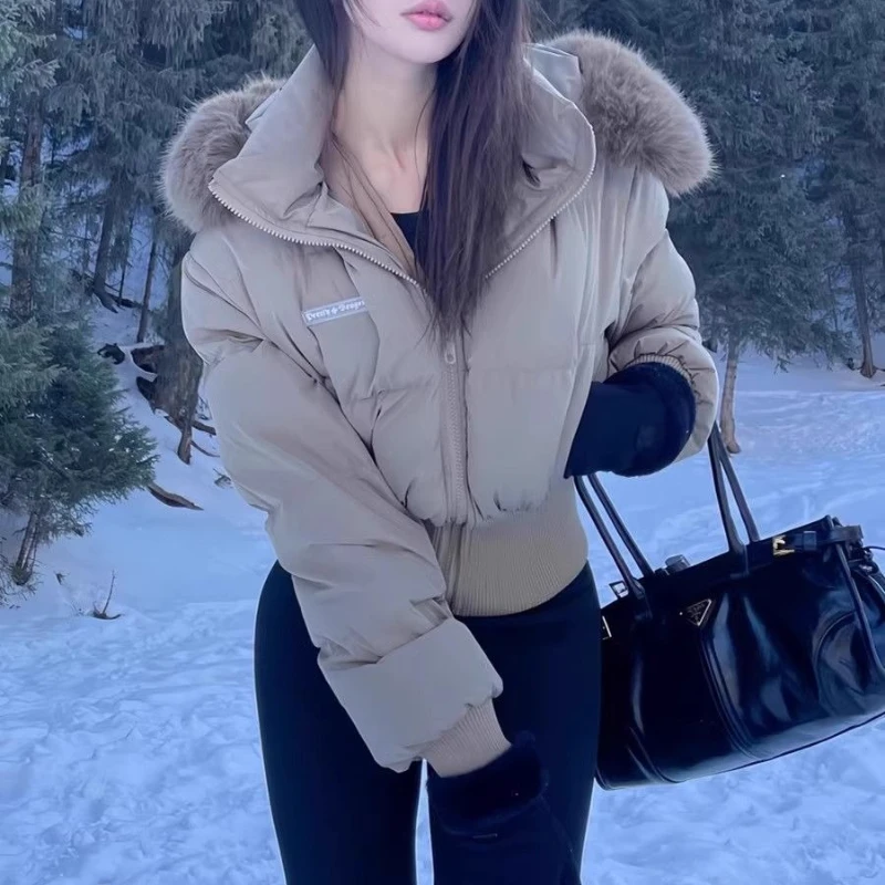 Winter New Fur Collar Hooded Bread Padded Short Down Cotton-Padded Jacket Women's Coat