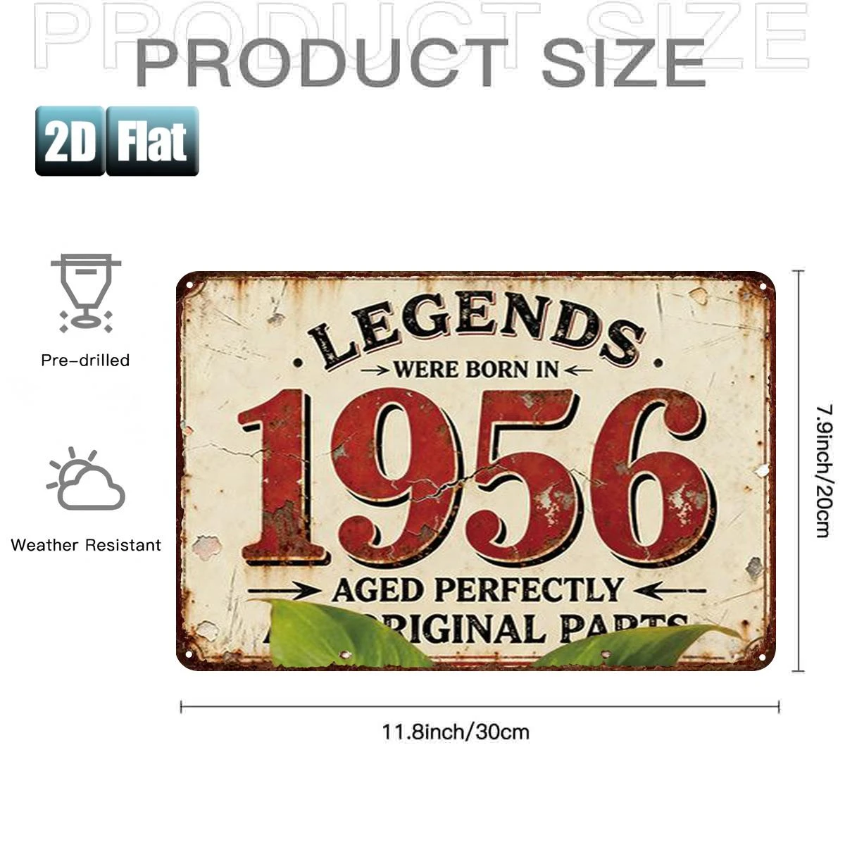 2D Flat, 1pc Legends Were Born in 1956 Vintage Metal  Sign - Retro Wall Decor Suitable for Room, Bar, Garage, Restaurant