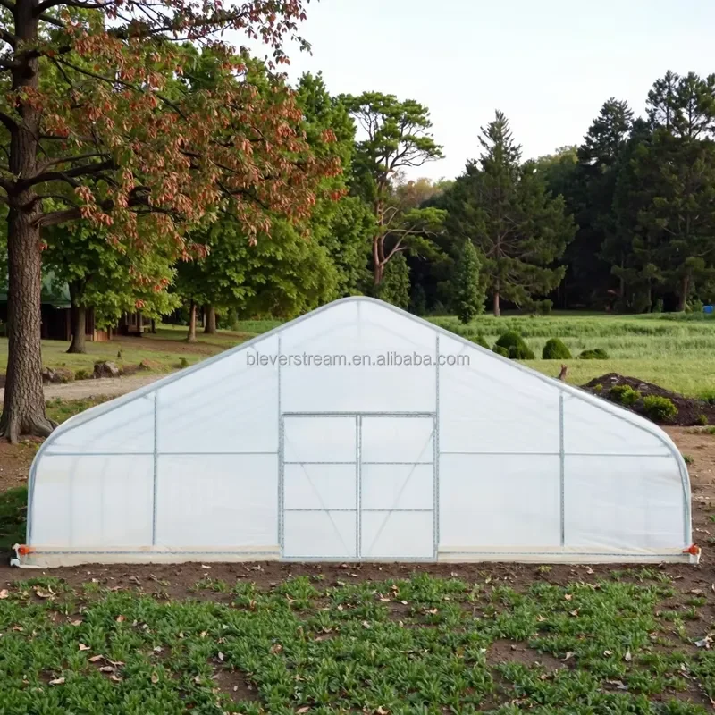 30x30ft 9x9m Modern Steel Galvanized PE Film Greenhouse Custom Polythene Green House for Planting Easily Assembled Outdoor