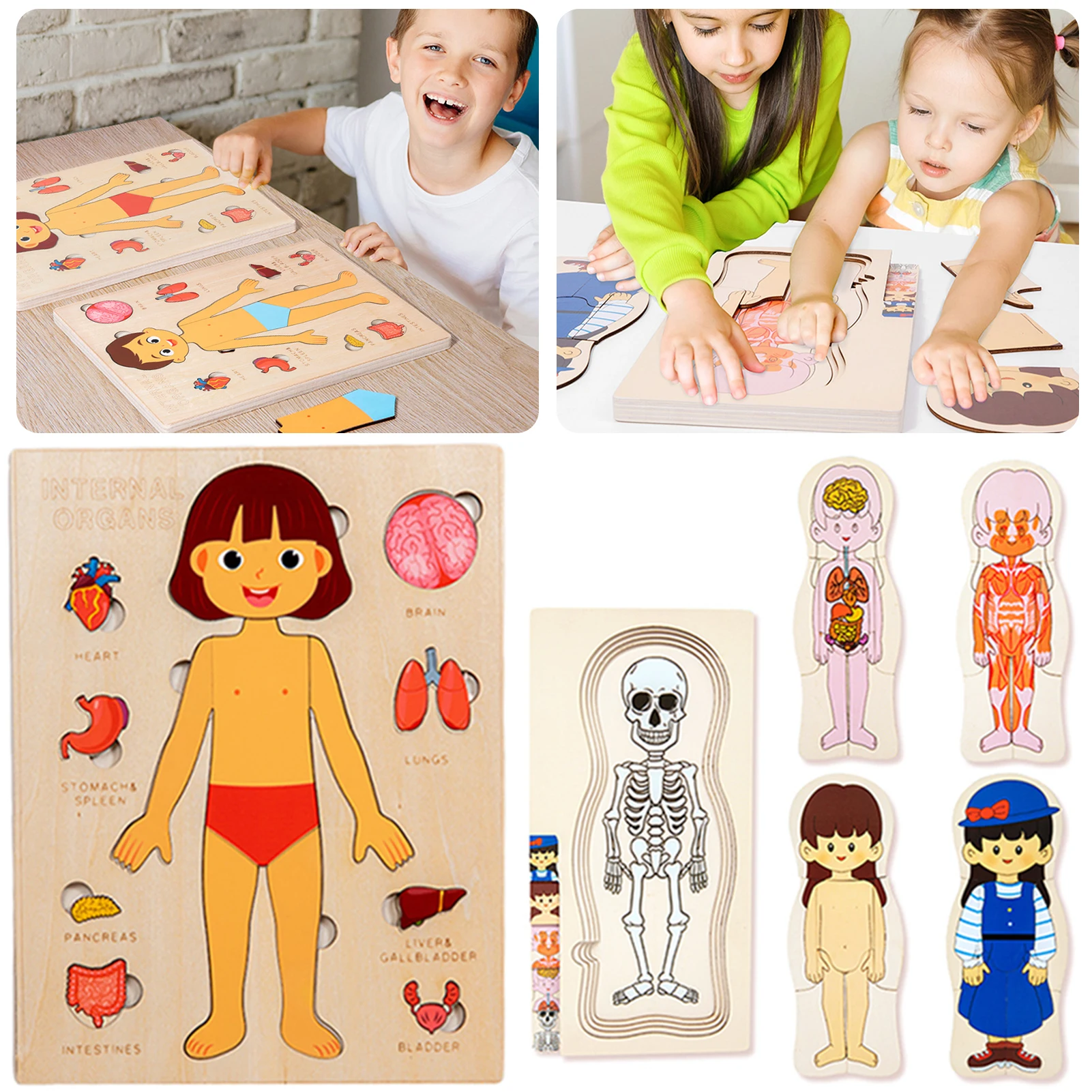 Puzzle de corps humain pour enfants, jouet Montessori, cadeau