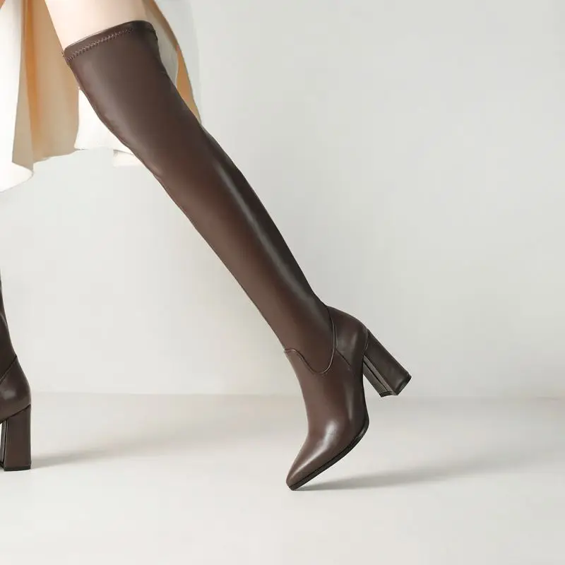 REAVE CAT 2027  Stretch Boots for Female Pointed Toe Chunky Heels 9cm Zipper Plus Size 41 42 US12  Over Knee High Booties