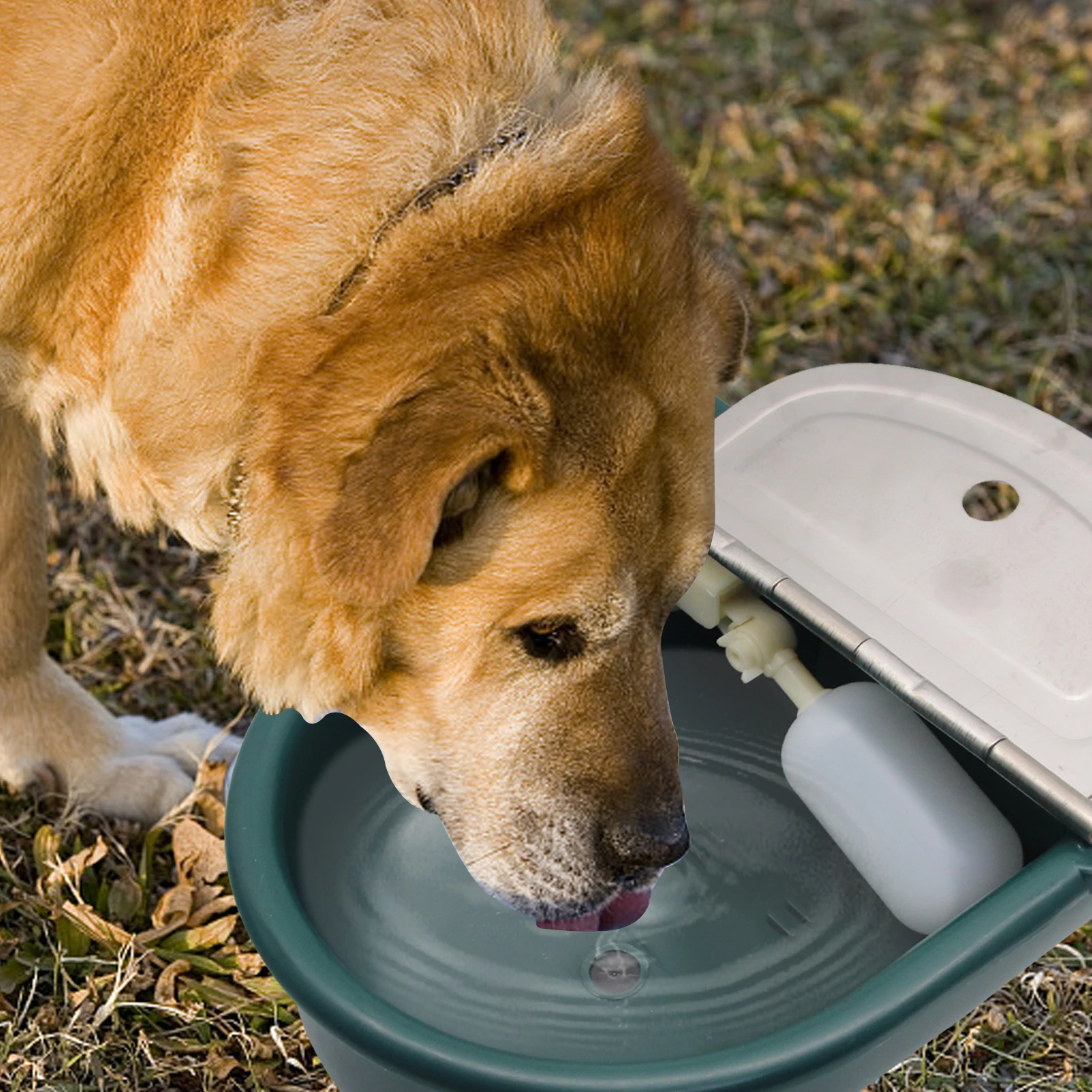 Stainless Lid Dark Green Color Cow Cattle Automatic Water Bowl for Cow Horse Sheep Drinking Water Bowl with Large Float-ball