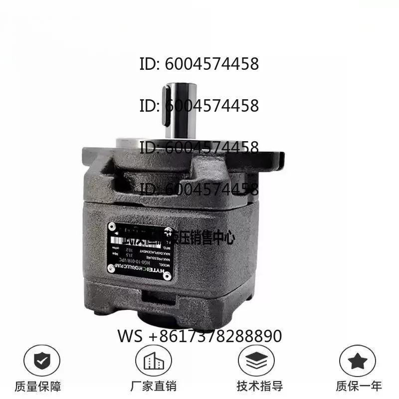 Gear pump HG0-08/10/16/20 oil pump HG1-25/40/50/63-01R-VPC