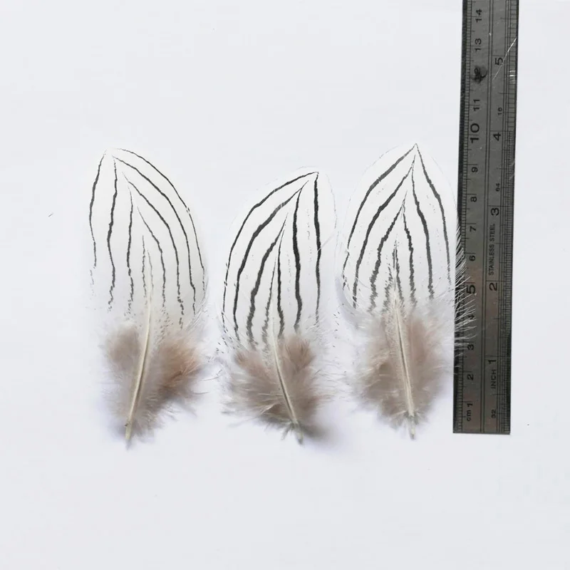 100Pcs/lot! 8-10cm SILVER PHEASANT Natural Feathers for Craft/Art/Bridal/Halloween/Jewelry Making