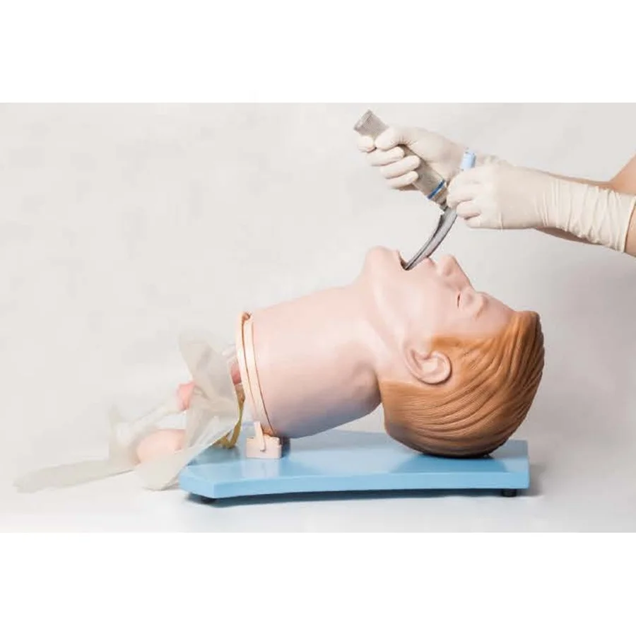 

Multi-functional Airway Management Model,Oral, Nasal Intubation and Suction Simulator,Classic Sellick Maneuver Manikin