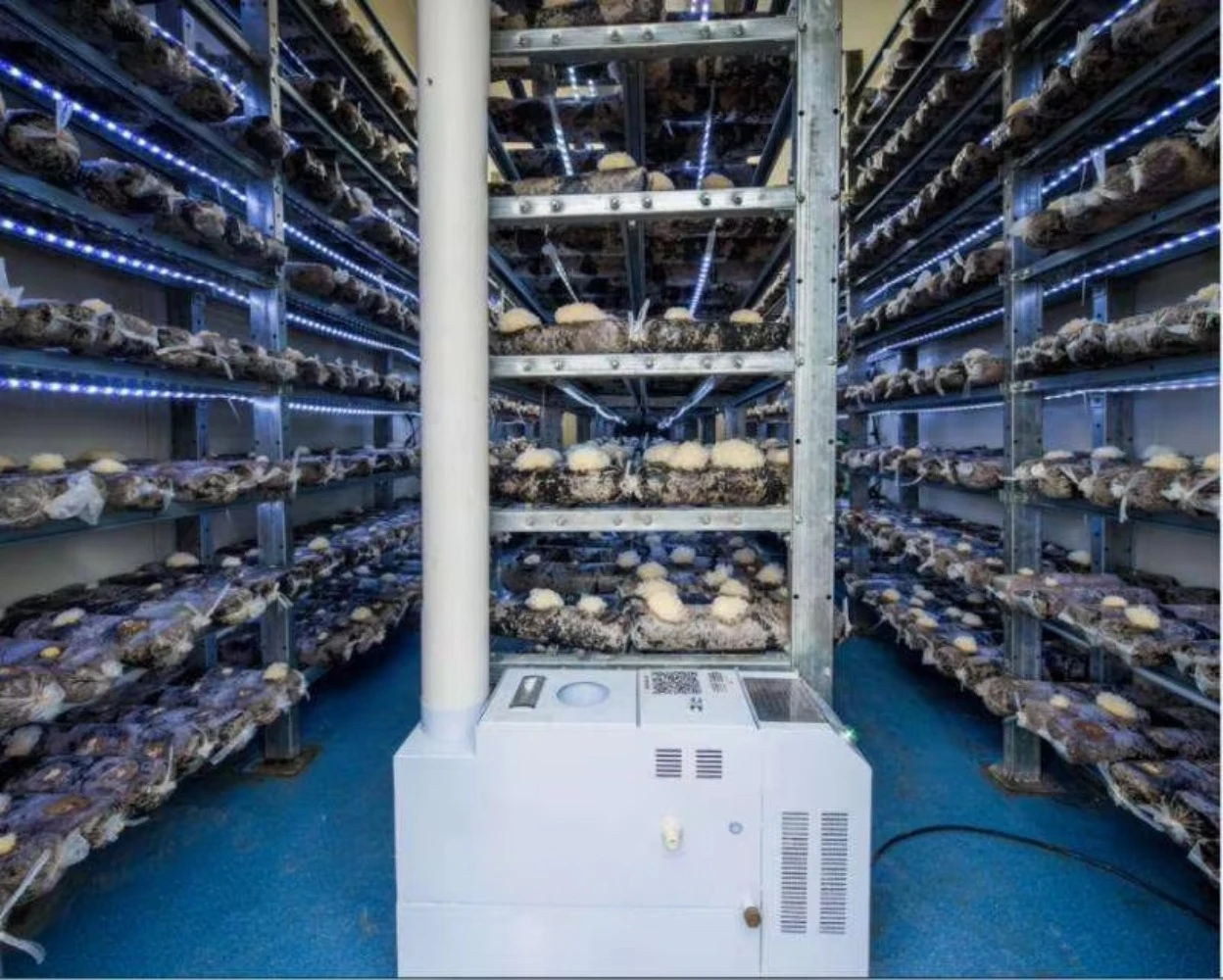 Kingfit Automatic Mushroom/Vegetables Planting System Growing Cabinet with Motor Indoor Farming Smart Control