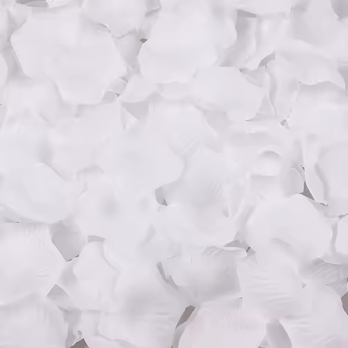 Black Artificial Rose Petals For Wedding Party Flower Favors Decoration Roses Supplies 500pcs Silk Petals Rosas Para Casamento - Image 6