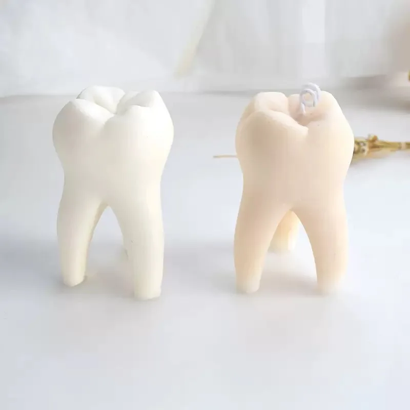 قالب شمع أسنان ثلاثي الأبعاد من السيليكون - قالب أسنان محاكاة كبير للصابون والشوكولاتة والجبس والتسليم السريع