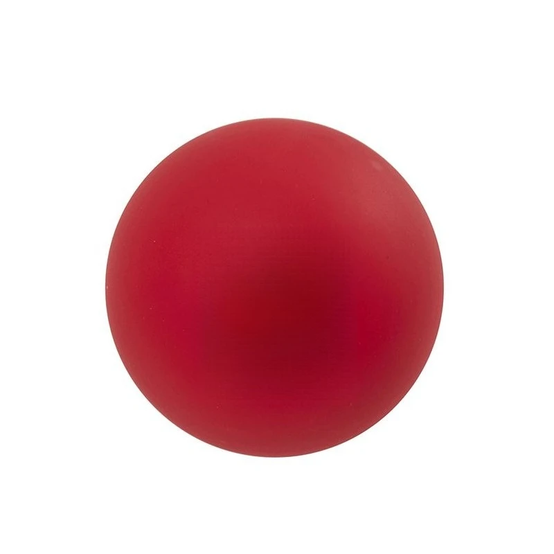 

Land Ice Hockey, Dryland Training Equipment, Home Training Ball Rebound