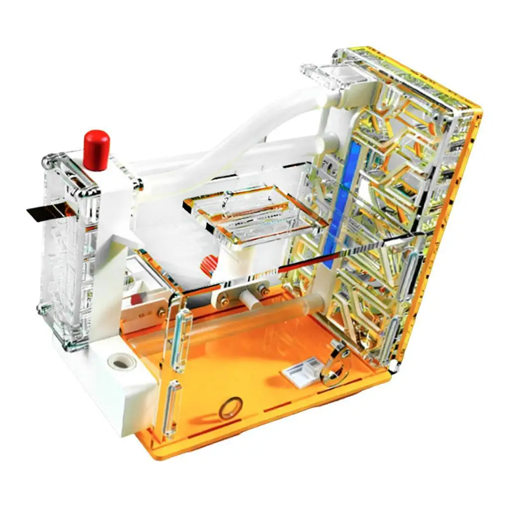 diy-ant-farm-learning-scientific-anthill-pet-workshop-for-school-kids