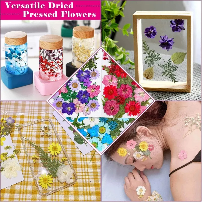 100Pcs Dried Pressed Flowers for Resin Crafts,Natural Herbs Pressed for Scrapbooking Greeting Card DIY Bookmark Resin Epoxy