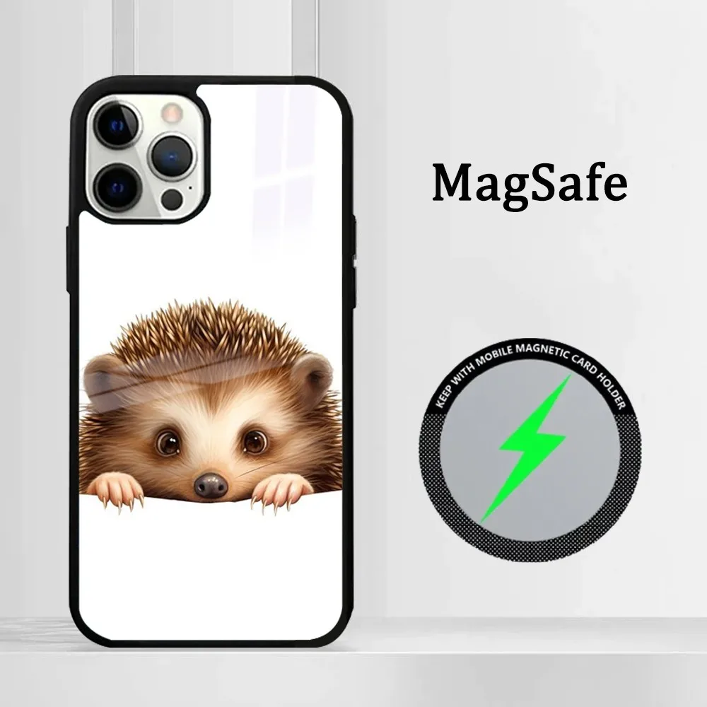 Kawaii Hedgehog Phone Case For iPhone 15 14 13 12 11 Pro Max Plus Mini Mirror Magnetic Cover