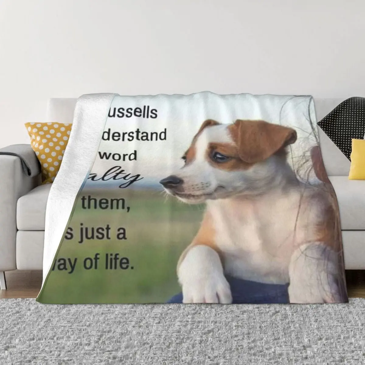 Jack Russell Terrier 1176 Blanket Bed Blankets Blankets And Throws Throw Blanket