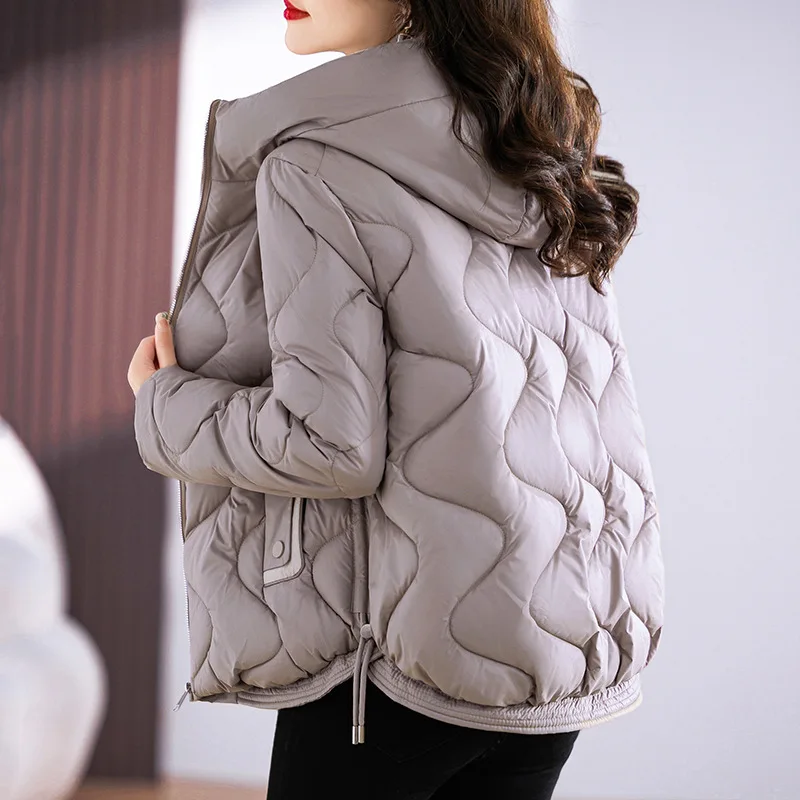 Women Short Puffer Coat New Arrival Hooded Lightweight Shiny Slim Fit Winter Cotton Down Jacket JK-366 Winter Jacket for Women