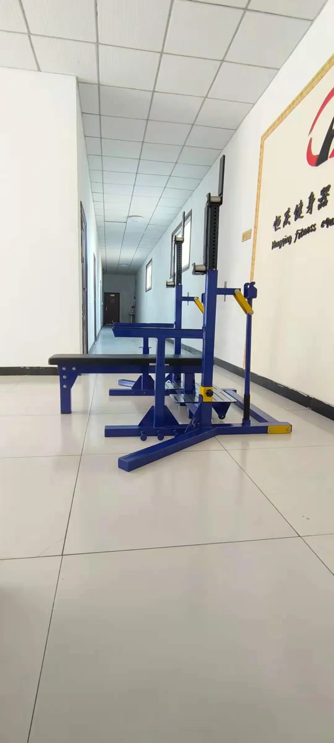 

l Commercial Heavy Duty IPF Specification Bench Press Combo Rack Squat