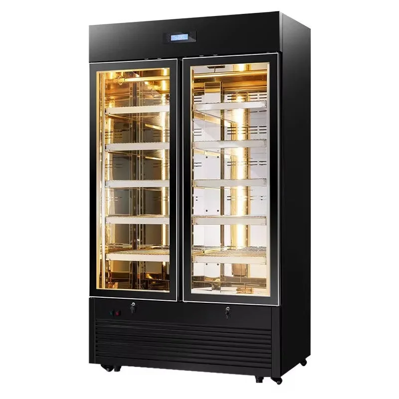 Commercial Meat Dry Aging Refrigerator Electric Field Beef Aging Cabinet for Steak Maturing Fridge Custom