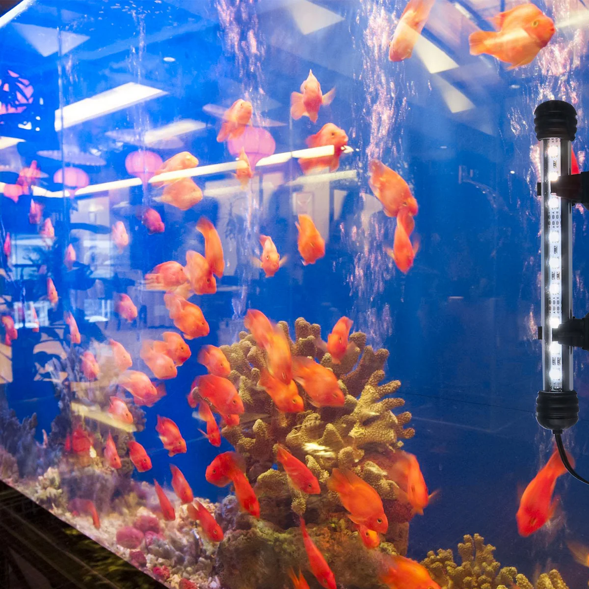 

1Pcs LED Aquarium Fish Tank Lamp Full Spectrum Natural Light High Brightness Waterproof Aquarium Plant Light 19cm Au Plug