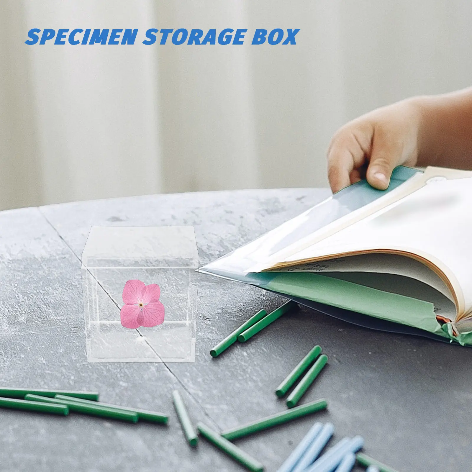 10Pcs Plastic Specimen Box Clear Cube Mineral Sample Case 5.5cm Transparent Storage Container Desktop Display Box for Mineral