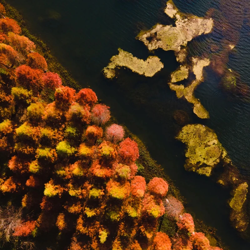 

IFlight IPower Motor GM8112 90T Бесщеточный карданный двигатель с полым валом 22 мм с кодером AS5048A, совместимый с камерой 5-6 кг