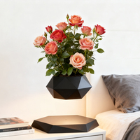 Suspended planter, EU Plug Modern Geometric Magnetic Levitating Flower Pot ,Creative Tech Gifts for Christmas Birthday business