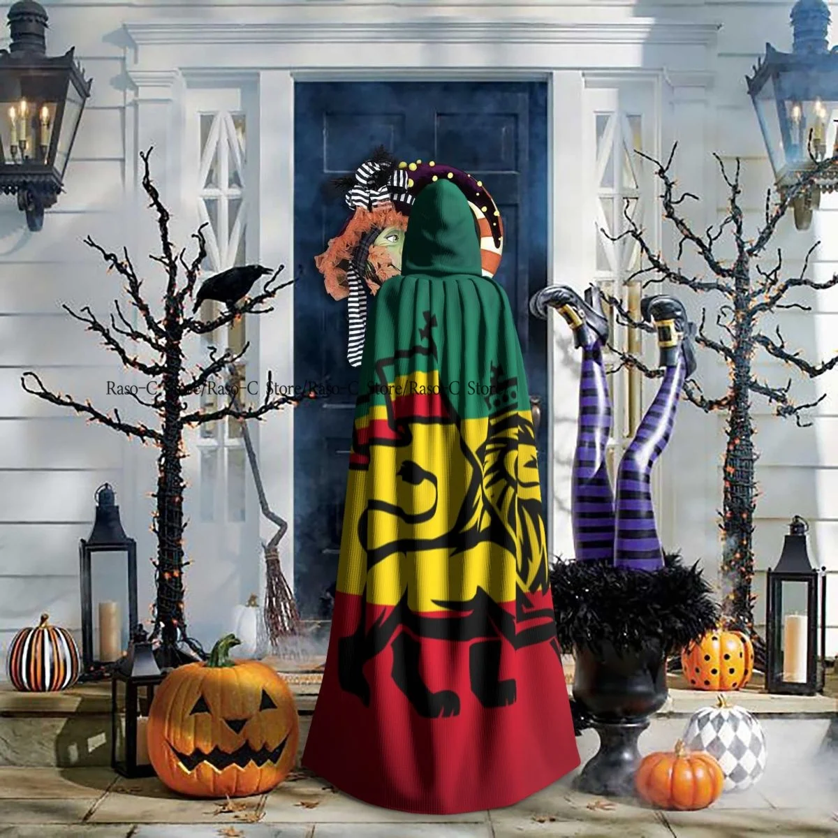 Lion A Rastafari Flag Jungle Reggae Hooded Cloak Polyester Unisex Witch Cape Costume Accessory