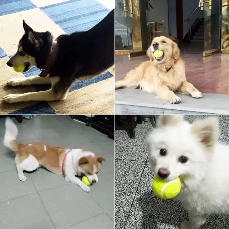 Elastischer Gummi-Tennisball für Haustiere - Verschleißfestes Beißspielzeug, interaktives Apportier-Trainingszubehör für Hunde zum Zähneknirschen und Spielen – Detail 2