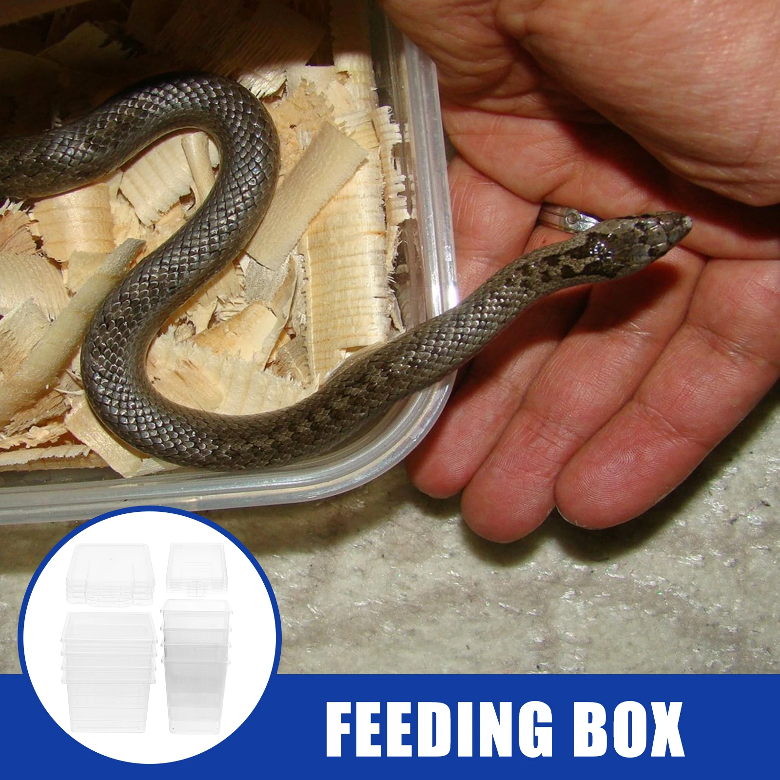 8 قطعة الحيوانات الأليفة العنكبوت الموئل شفافة الزواحف الضميمة التهوية خزان التغذية للكريكيت الثعابين الناسك كراب المحمولة #6