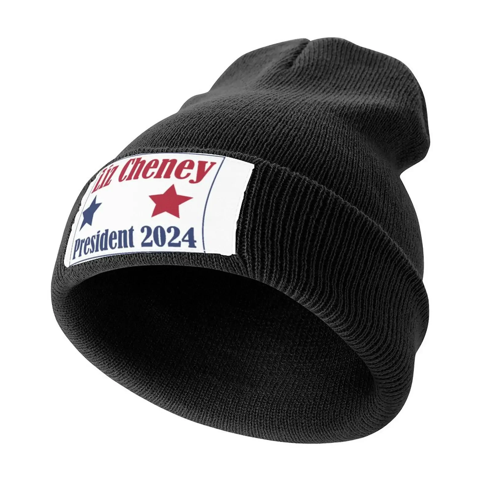 Liz Cheney 2024 Knitted Cap Sunhat Anime Hat Luxury Brand Luxury Man Hat Designer Man Women's