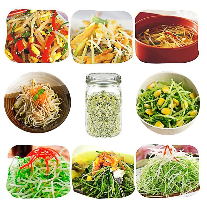 New Arrival 1 Sets of Stainless Steel Can Lids Suitable for Wide Mouth Mason Jar Canning Organic Sprouts Broccoli Lentil Seeds