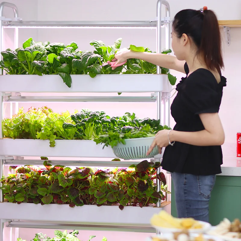 

Home Use 4 Multi-layers 120 Holes Detachable Led Light Vertical Lettuce Hydroponics Vegetable Grow Rack System