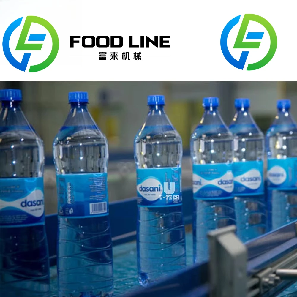 FL Fully Automatic 3 in 1 Pet Bottle Drinking Mineral Water Filling Machine Production Line Plant