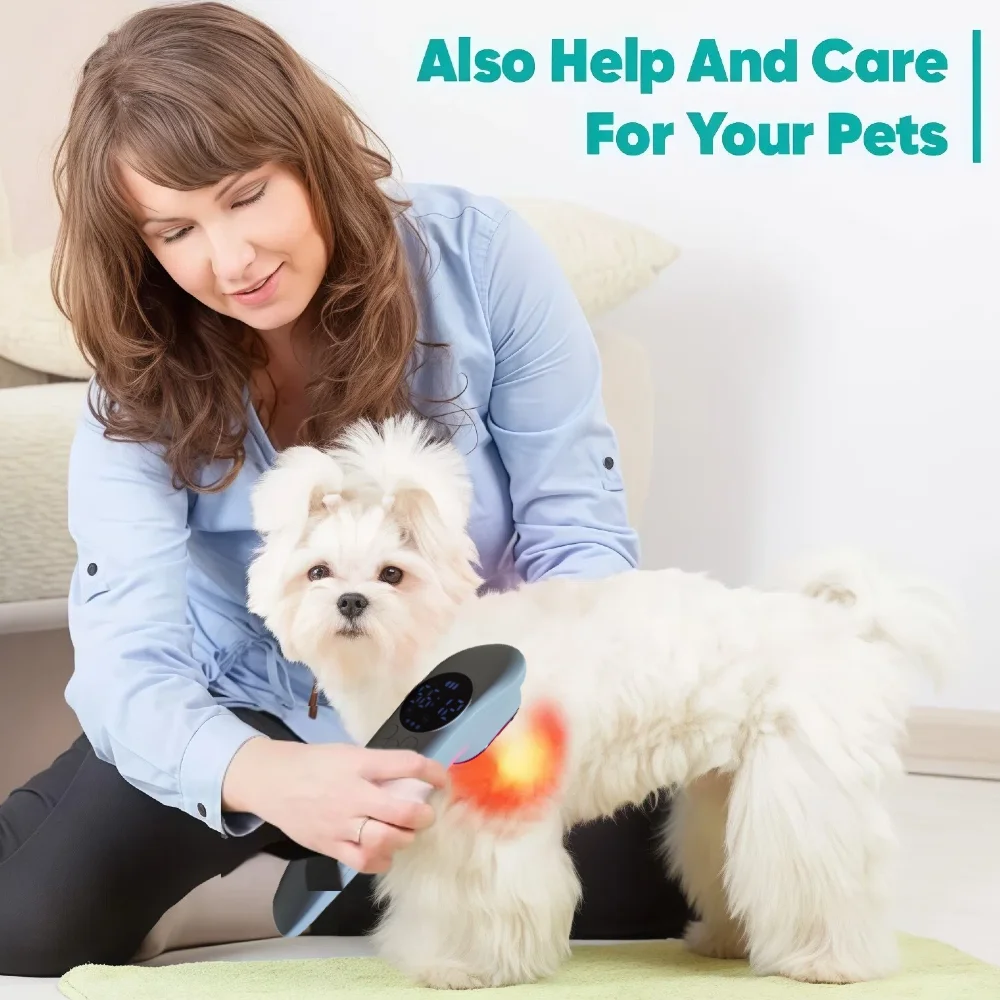 Cold Near Infrared Light Physiotherapy Instrument for Veterinary Animals Dog Cat Horse Pain Relief Therapy Device