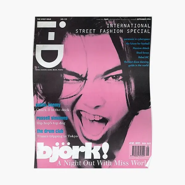 Bjork Poster Home Wall Modern Room Painting Decoration Decor Art Funny Vintage Mural Picture Print No Frame