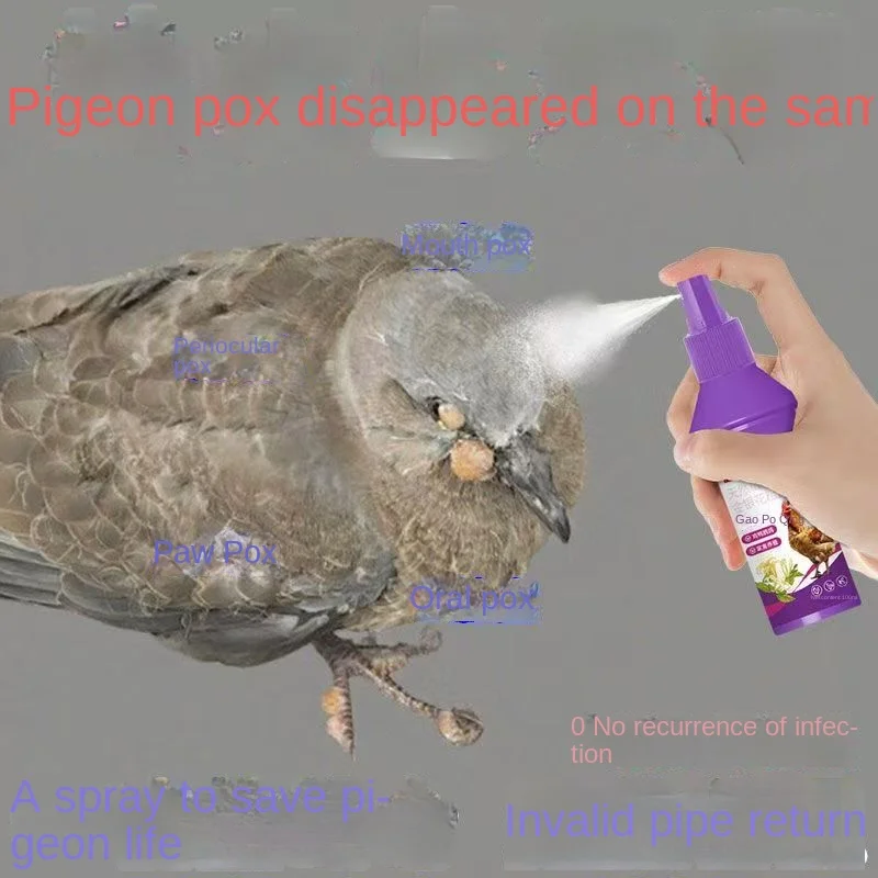 

100ml Avian Pox Cleanse, Chicken Duck Goose Pigeon Pigeon Tumor, Pimples on The Corners of The Mouth, Eyelids, Claws and Wings